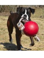 žoga z vrvjo za velike pse