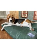 danish design country luxury