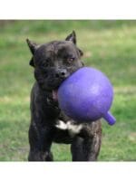 Jolly Pet tug n toss - slika 2