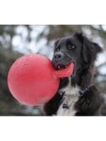 jolly pets žoga z ročajem