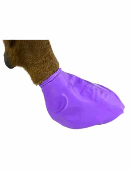silikonske nogavičke zaščita za pasje tačke