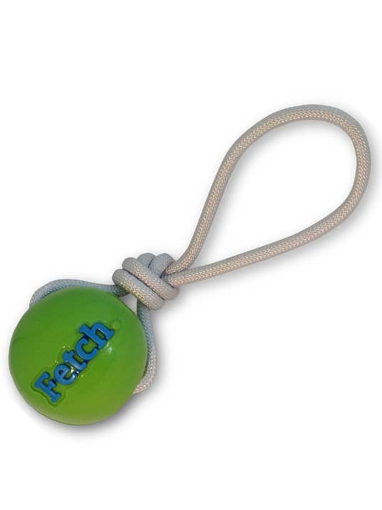 PLANET DOG FETCH