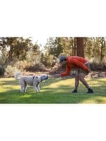 ruffwear igrača za psa gourdo
