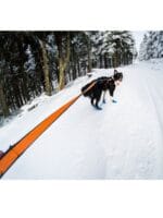 povodec za tek non stop