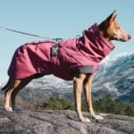 Hurtta expedition parka rdeč - slika 2