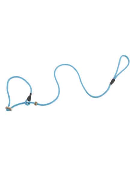 firedog ovratnica in povodec v enem