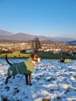 hurtta extreme warmer