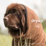 Actiony factory dryup sušilni plašč - brown - slika 4