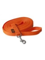 firedog sledi povodec