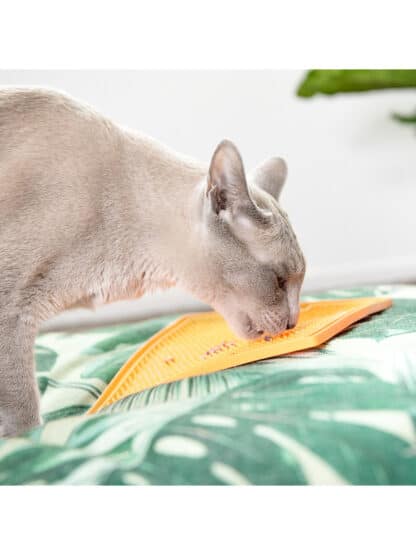 lickimat soother pladenj za mačke