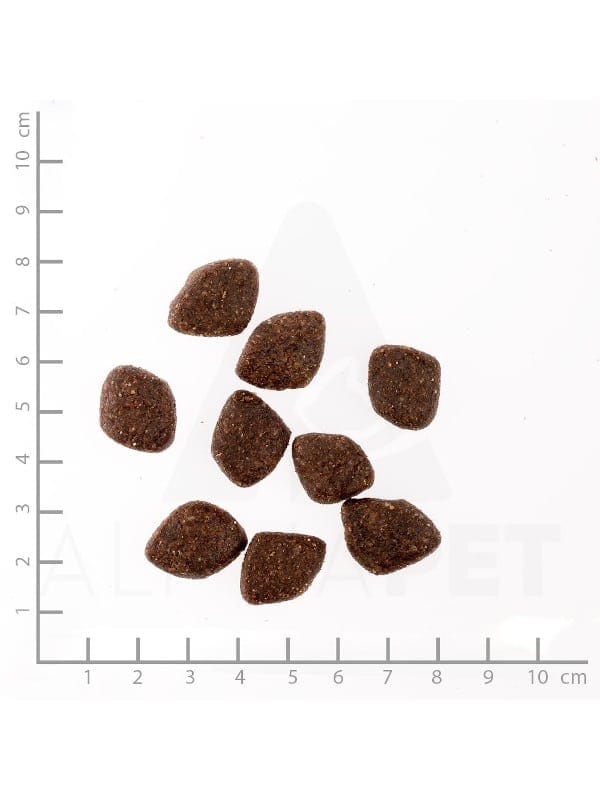 polsuha hrana za pse