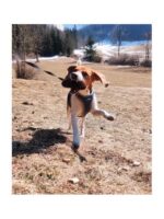 hurtta venture oprsnica proti vlečenju