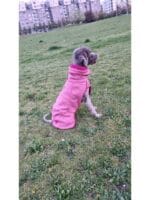 hurtta razzle dazzle pulover