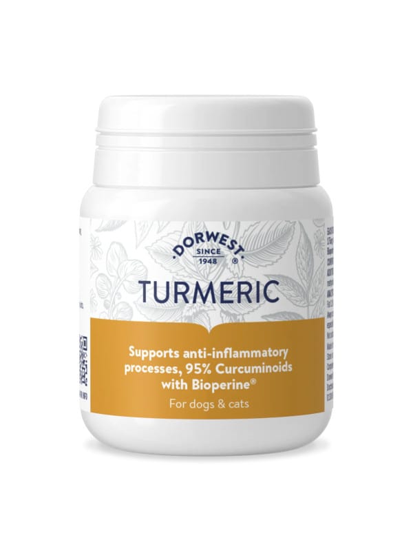 kurkuma za pse dorwewst herbs