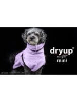 dryup plašček za sušenje mokrih psov