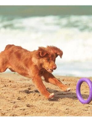 igrača za psa puller