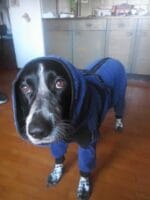 zip fit sušilni plašček moder