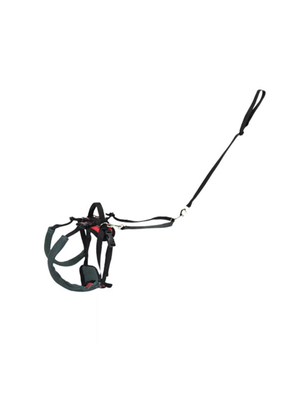 carelift2 oprsnica za pomoč pri hoji nosila za psa pasji voziček