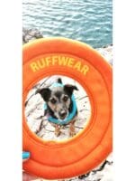 ruffwear hydro plane
