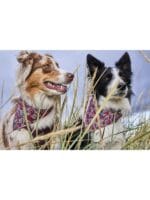 hurtta safety rutka ruby