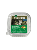 Real Nature Wilderness Deep Forest
