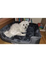 doggy snuggle postelja za psa