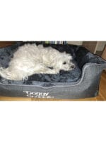 Pet-Joy Doggy Snuggle črna - slika 3