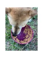 Sodapup Garden of Eatin Tipsy Bowl - slika 3