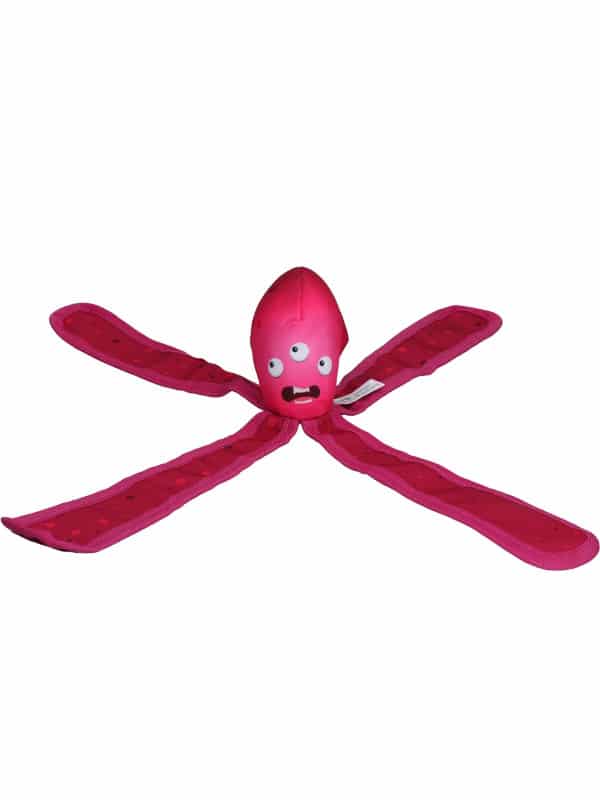 dog comet pasja igrača za v vodo