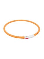 led ovratnica za pse