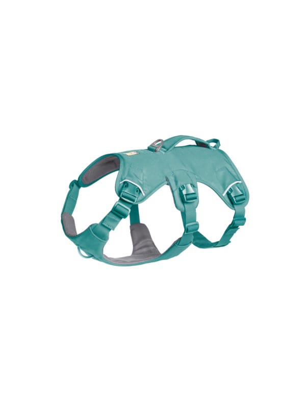 webmaster oprsnica za pse oprsnica za pomoč pri hoji podložena oprsnica oprsnica za tek oprsnica za hribe