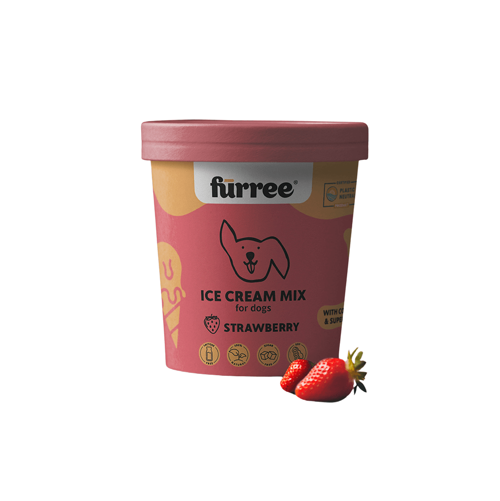 pasji sladoled sladoled za pse