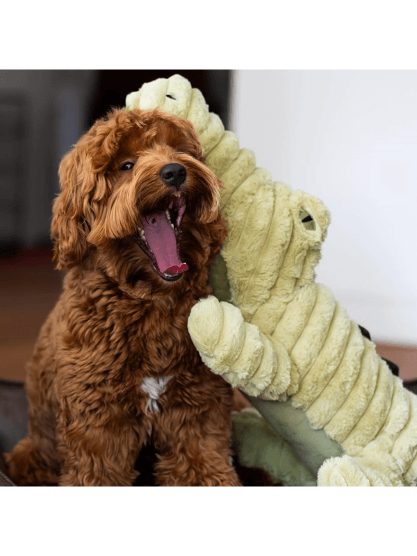 mehka plišasta igrača za psa aligator quapas