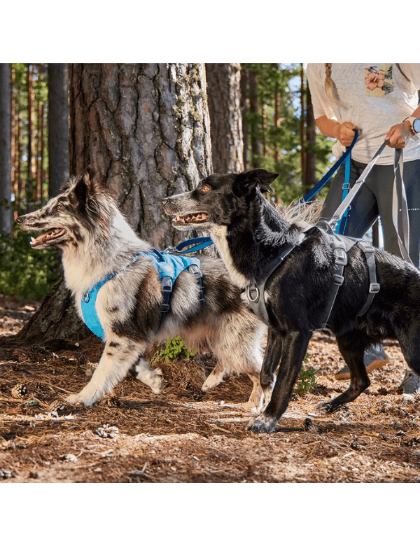 hands free povodec hurtta