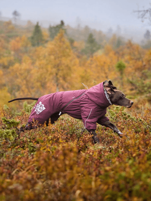 topel plašč za psa