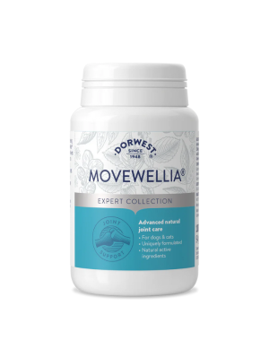 glukozamin za pse naravni dodatek za sklepe psov podpora sklepom pri psih