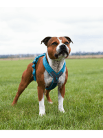 Non stop Line oprsnica 5.0 Teal - slika 2