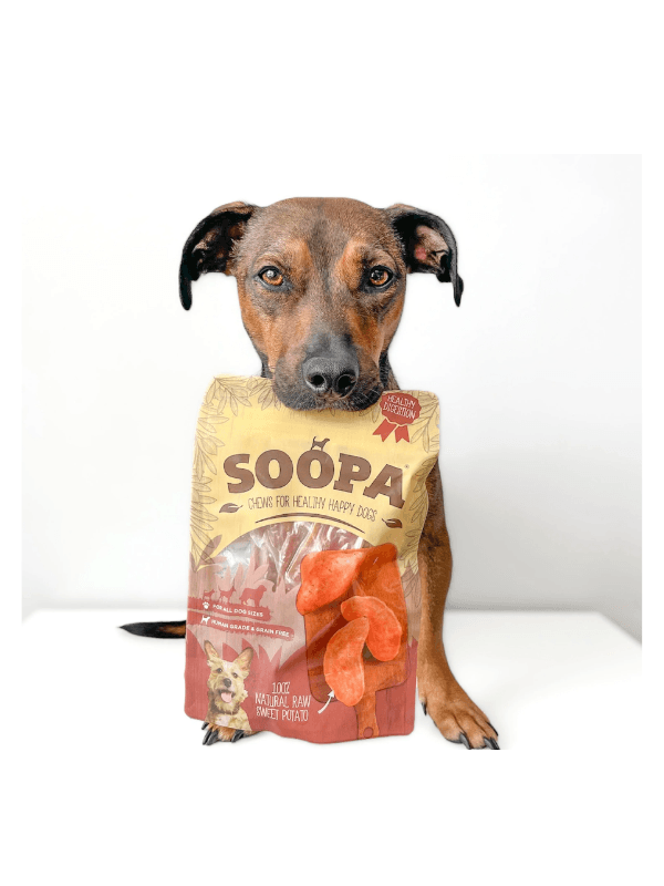 Soopa žvečilke za pse iz sladkega krompirja – naraven hipoalergen priboljšek