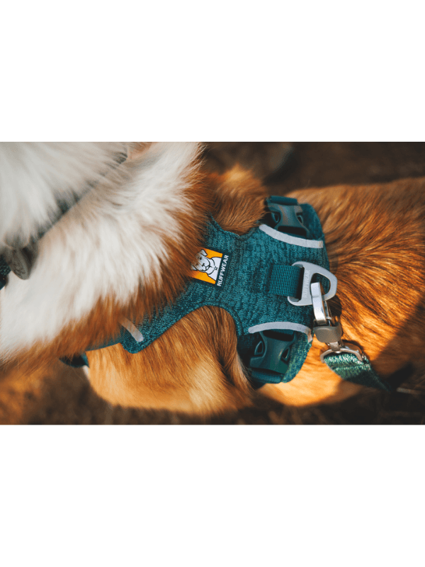 mehka podložena oprsnica za psa Ruffwear front range Flex
