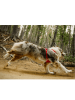 mehka oprsnica za psa podložena ruffwear front range flex