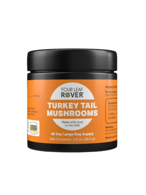 turkey tail gobe za psa za dvig imunskega sistema