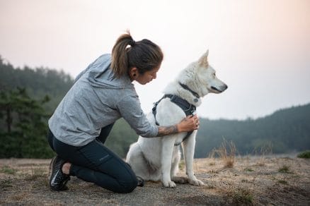 ruffwear front range podložena oprsnica proti vlečenju