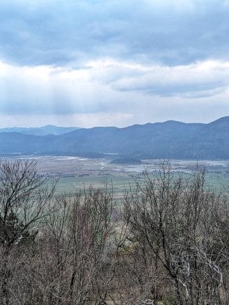s psom na pot potepanje s psom slivnica 