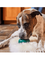 Woof Pupsicle viola - slika 4