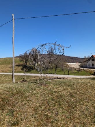 Vol na Blokar Krpanova pot s psom na pot