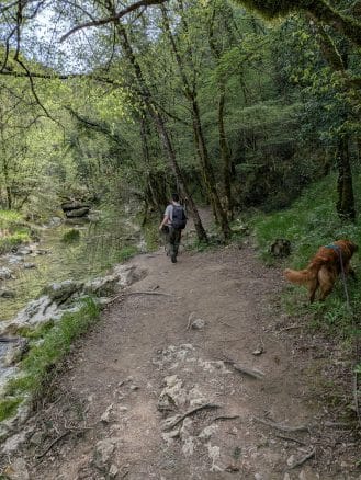 potepanje s psom pot sedmih slapov