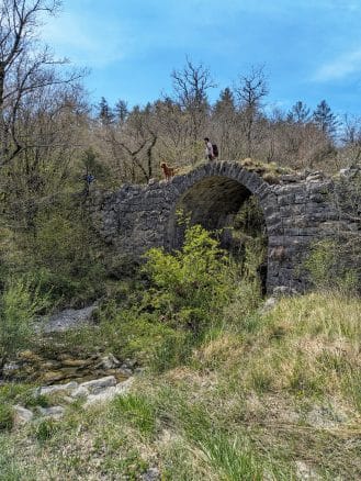 pes na pohodu pot sedmih slapov