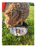 FIREDOG najlonska prenosna posodica za vodo za pse Feather Dream 1l - slika 2