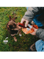 VEGDOG Chevvies - slika 2