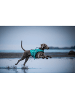 Non-stop Dogwear Protector Life Jacket